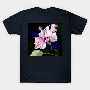 Pale Pink Hibiscus against a dark background T-Shirt